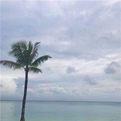 仙凡变九游版下载
